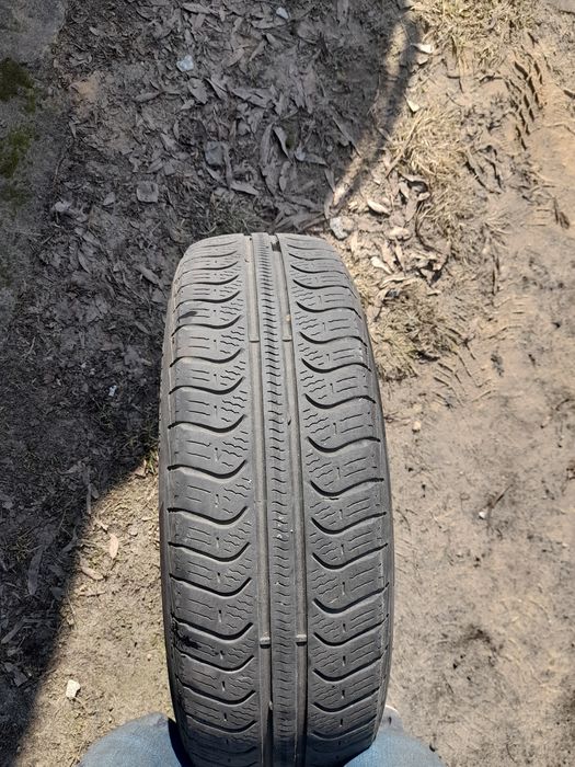 Opony Pirelli 175/65 R14