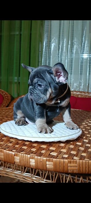 Мальчик голубой подпал