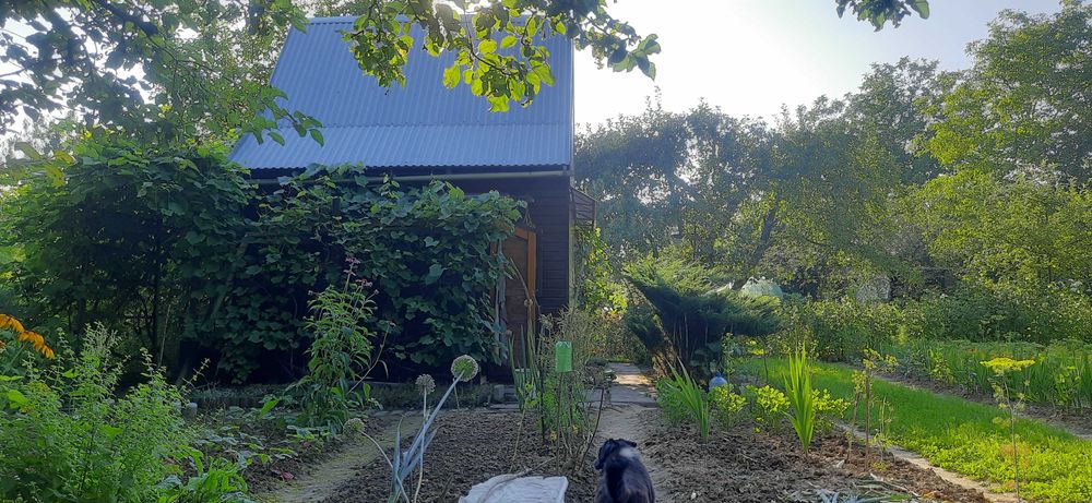 Sprzedam działkę na Ogródkach Działkowych Hutnik ul. 17 Stycznia Jasło