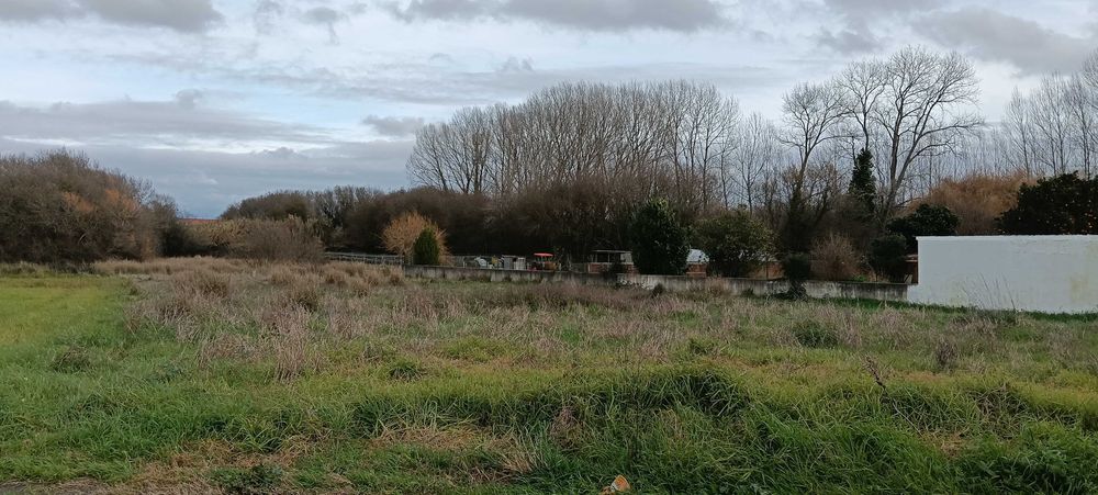 Excelente Terreno Construção Moradias - Ílhavo