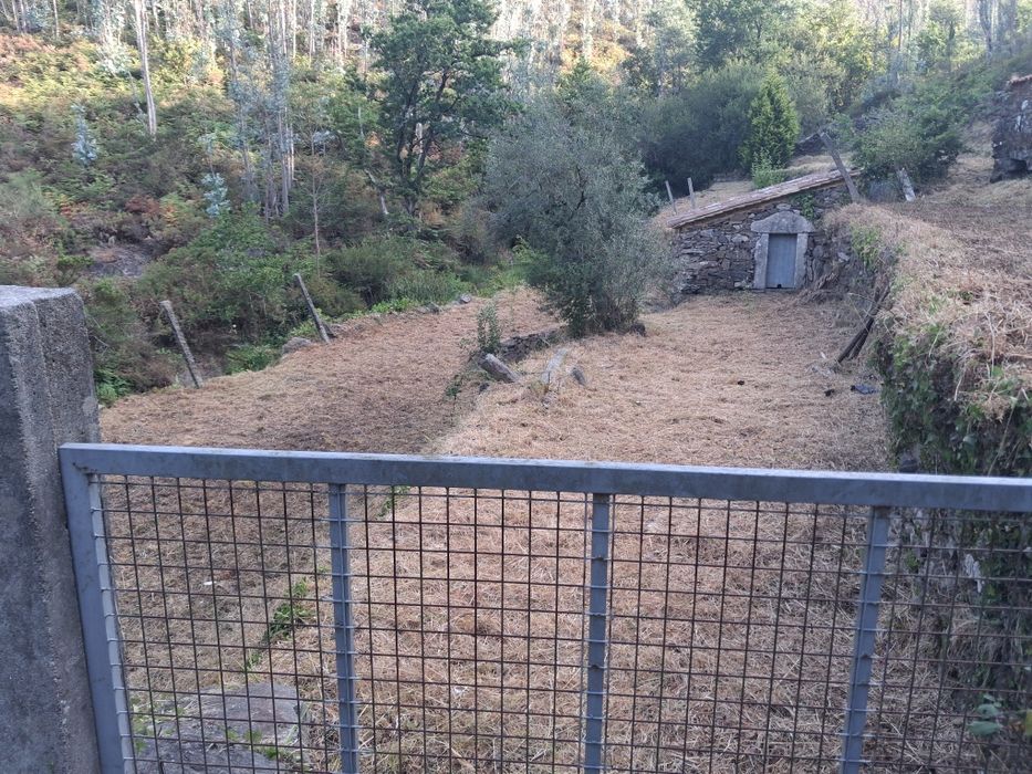 Limpeza de terrenos agrícolas e florestais