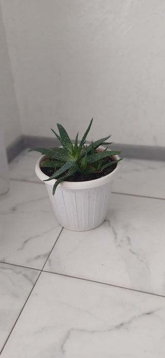 Квартира подобово, посуточно. Недалеко центр, озеро. Власник