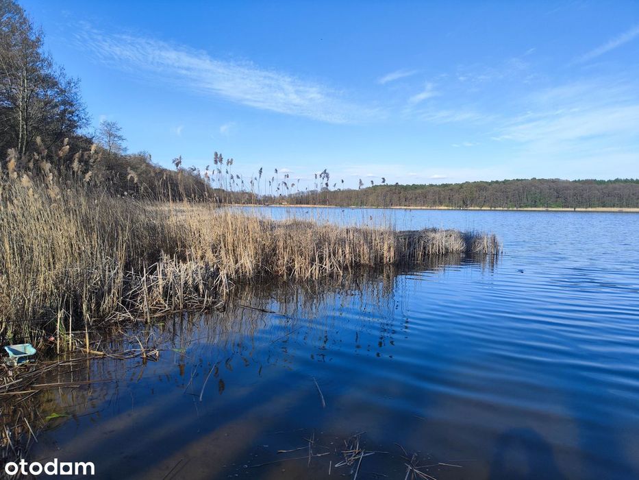 Słoneczna enklawa nad Jeziorem Lgińskim Małym – 1000m2, jezioro, las
