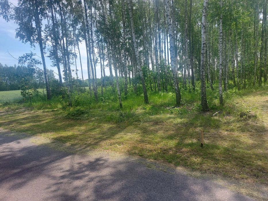 Działka budowlana w pięknej okolicy Nadzieja 15 ar
