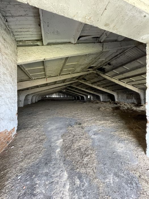 Молочно товарна ферма