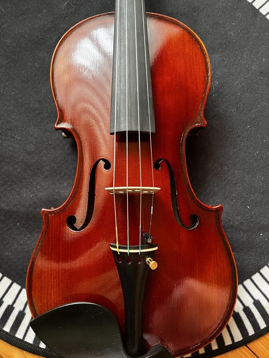 Скрипка пташине око