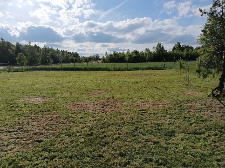 Działka Giemzów Ogrodzona Prąd Łódź - Widok 4