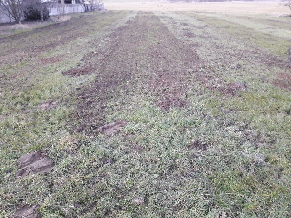 Podsiew łąk traw, poplonów, sprzedaż nasion, GUTTLER APV cały kraj