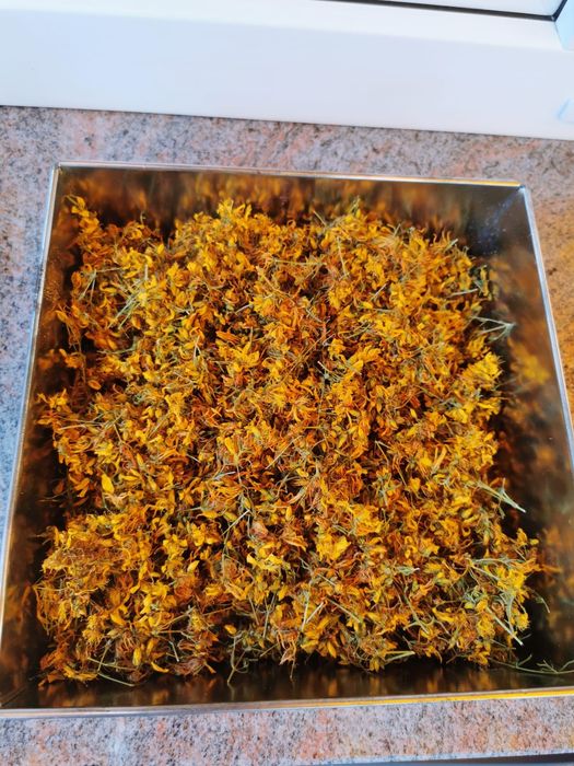 Sprzedam olej z kwiatów dziurawca