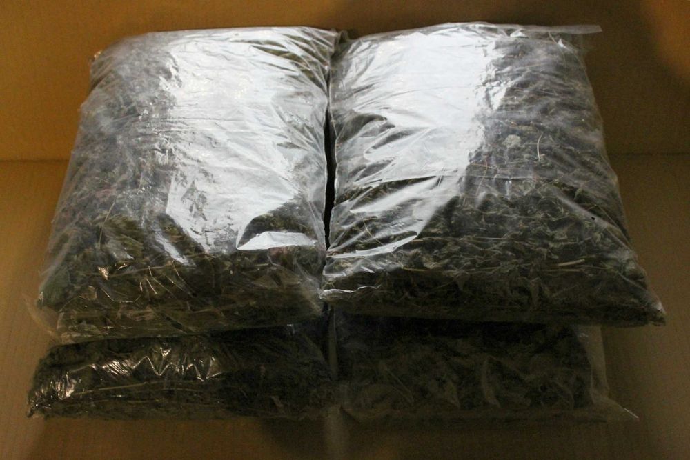 Мята Мелисса Сушеная (пакет 200 грамм)