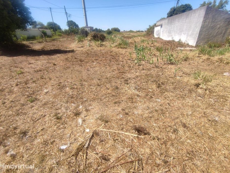 Terreno em Esgueira - Mataduços