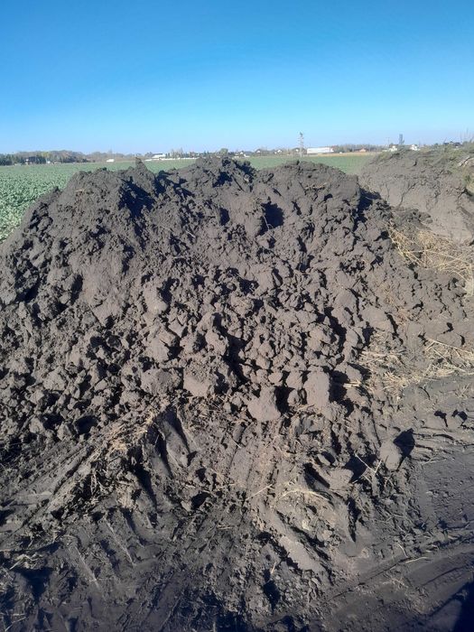 Sprzedam dobrą ziemię