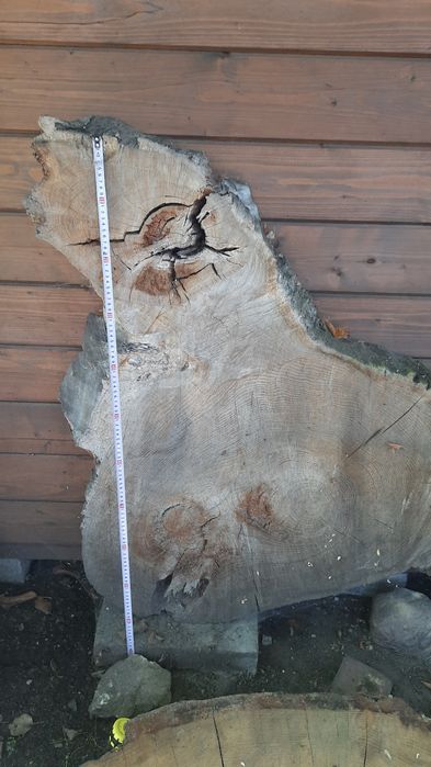 plastry drewniane na stół