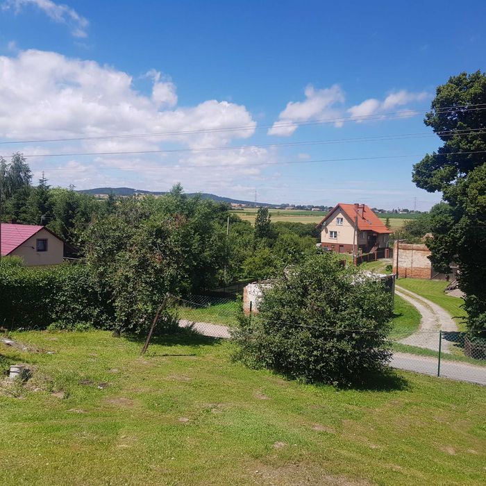 Dom 8 km od Ząbkowic plus budynki gospodarcze - Ząbkowice