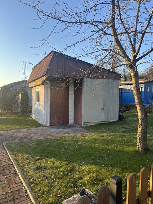 Ogorek dzialkowy  w Tarnowskich Gorach ROD