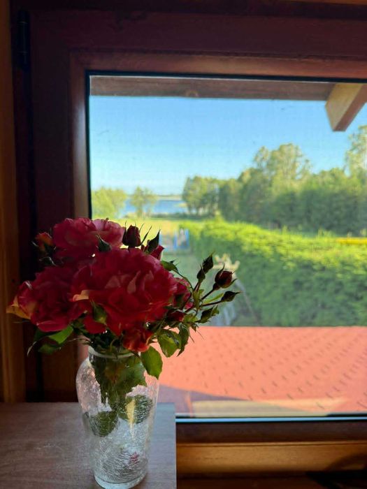 Domek nad jeziorem. Ryby, Grzyby, Relax
