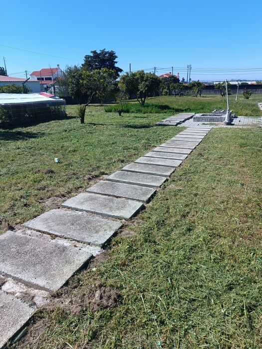 Limpeza e manutenção de jardins