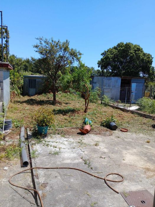 Serviços de Jardinagem e Limpeza de Terrenos