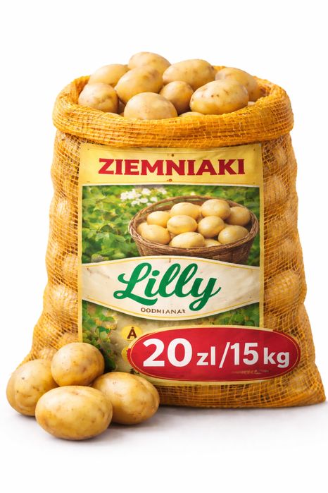 Ziemniaki pyry - Lilly oraz Gwiazda