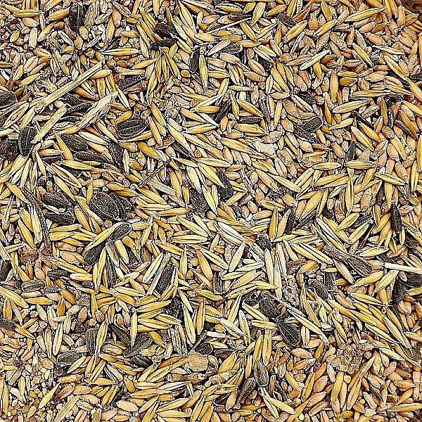 4,5kg Uniwersalna karma dla ptaków ziarno pokarm zimowy karmnik Champi