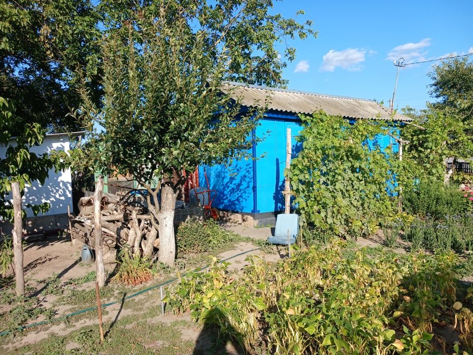Продам дачу неподалік міста Канева в селі  Тростянець