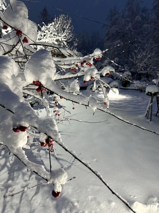 2-кімнатні апартаменти.ЕнергонезалежністьЛісовий пейзаж.Чан!Центр450м.