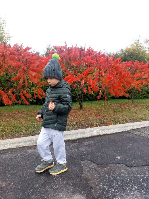 Зимняя шапка Reima