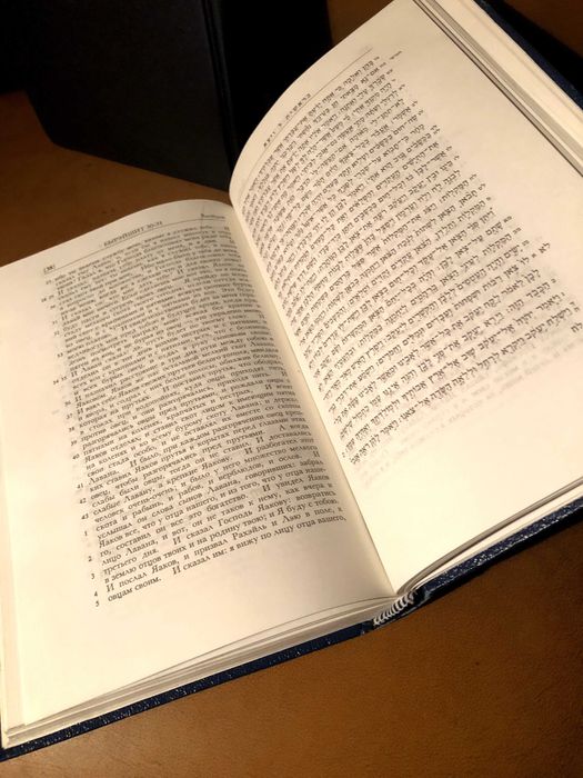 | Первые и Последние пророки | Мосад арав Кук | Тора | Пять книг Тор |
