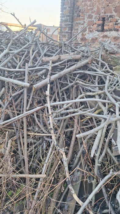 Drewno na opał, orzech i inne