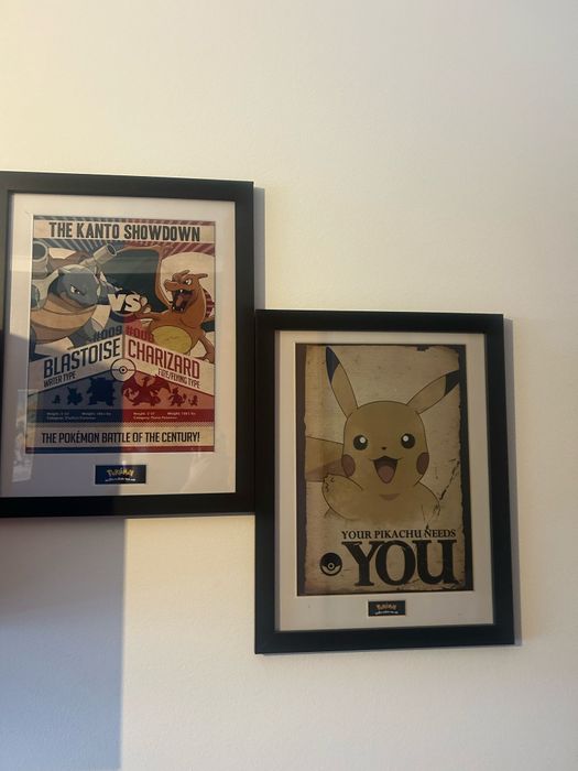 Quadros emoldurado Pokemon