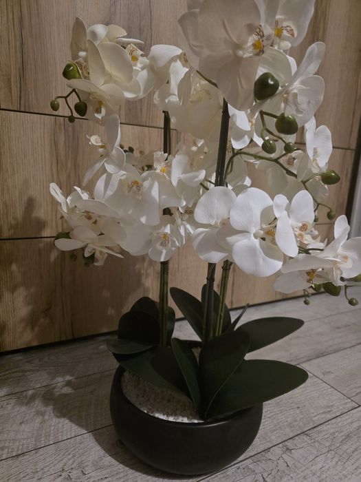 Sztuczna orchidea storczyk 60 cm wysokość