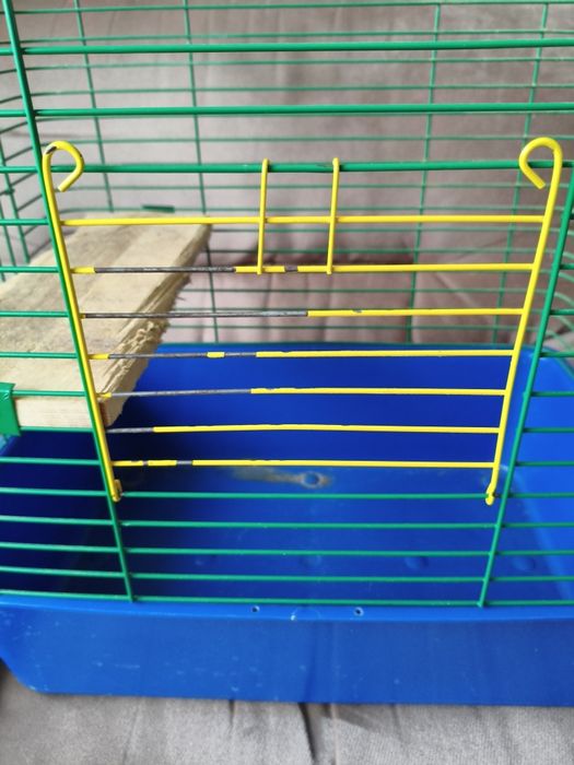 Клітка для шиншили