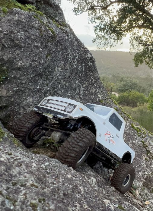 RC Traxxas TRX4  !!! LER DESCRIÇÃO !!!