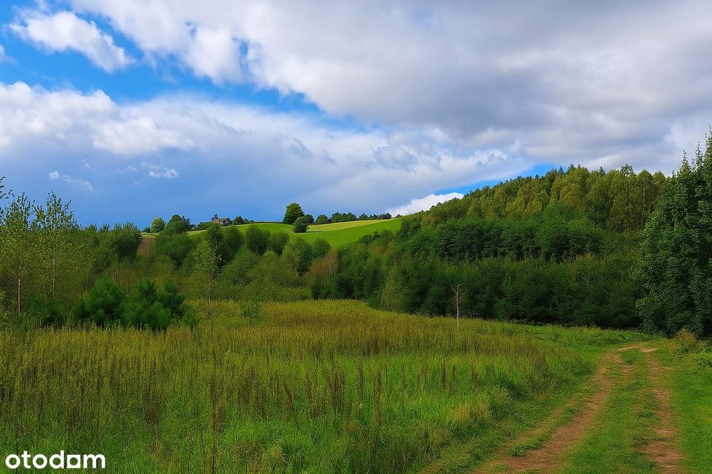 Działki nad jeziorem w malowniczym Garczu na Kaszubach