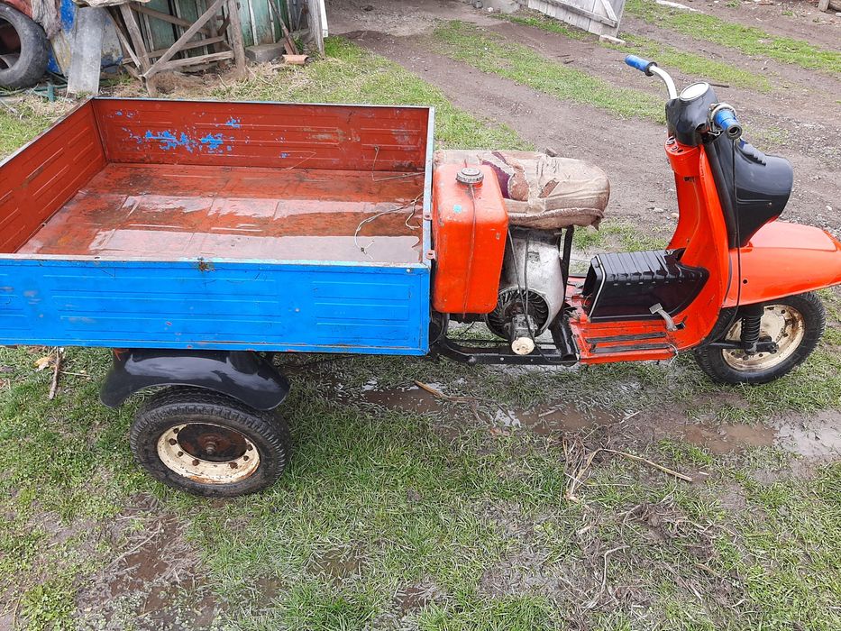 Муравей с документами