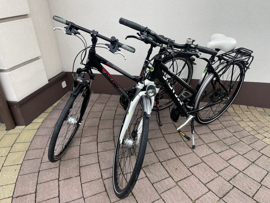 Rowery Pegasus, Raleigh koła 28"