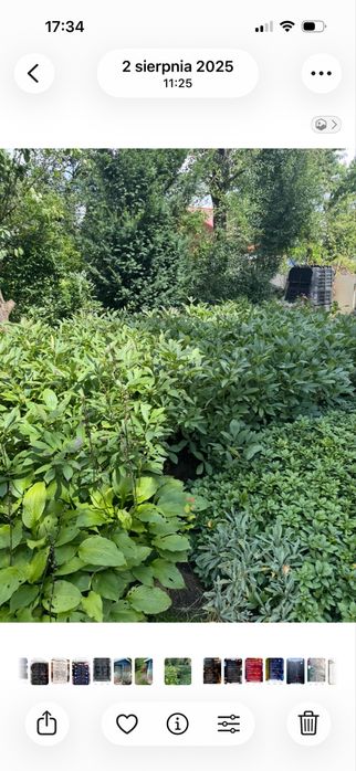 Działka rekreacyjna