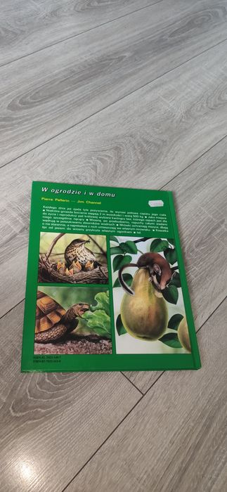 Książka - Tajemnice zwierząt - W ogrodzie i w domu