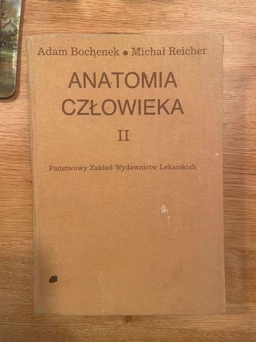 Bochenek anatomia t3