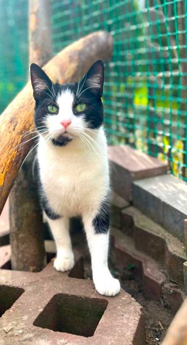 Balbinka szuka  domku