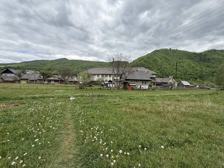 43 сотки землі в Карпатах, с. Запереділля — гори та природа