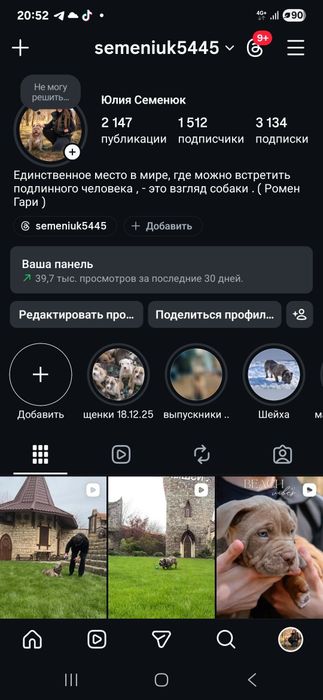 Малюки буллі в типі покет..