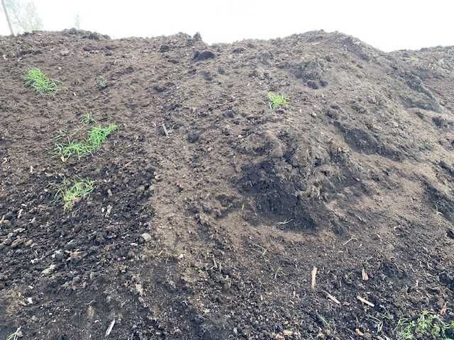 Torf oczyszczony i nieoczyszczony