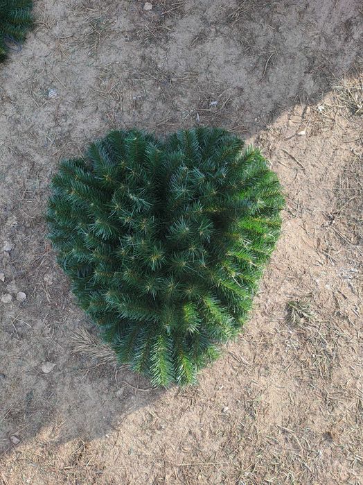 Podkłady   pod stroiki  kompozycje  nagrobne