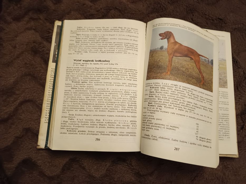 Psy, rasy i wychowanie -Lubomir Smyczyński, książka,poradnik, rok 1989