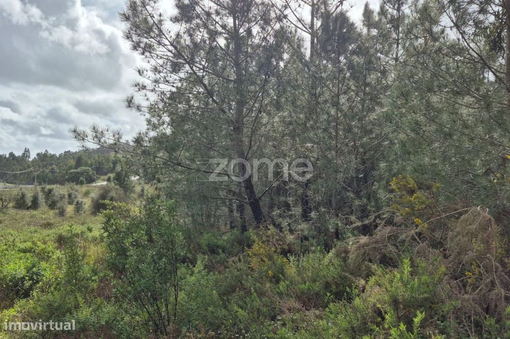 Terreno Rústico em Abrigada, Alenquer