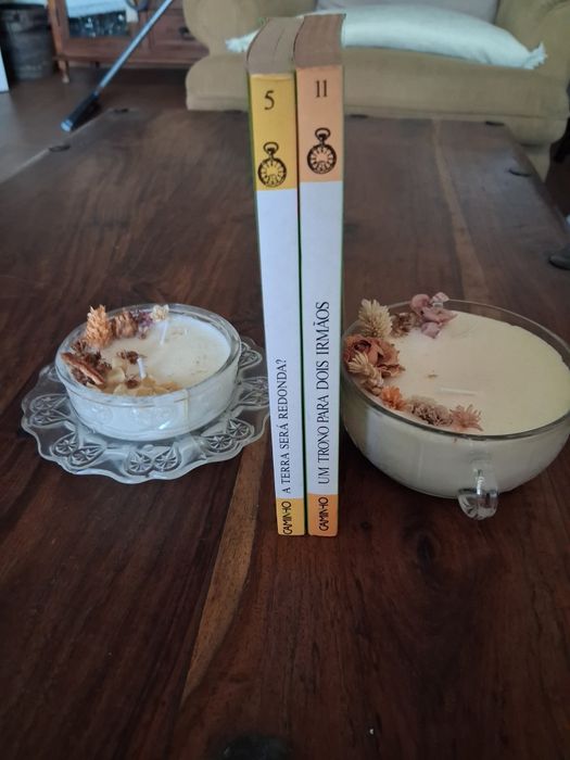 Conjunto de 2 livros juvenis da coleção viagens no tempo
Volume 5 e 12
Autoras Ana Maria Magalhães e Isabel Alçada