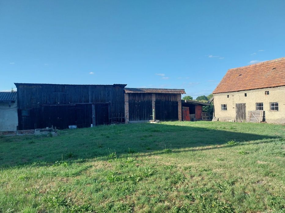 Hala Magazyn Budynki gospodarcze + 20 arów działki do wynajęcia Prusice - Widok 5