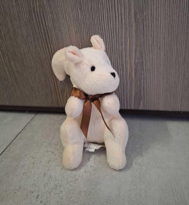 Maskotka Wiewiorka pluszak