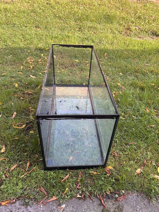 Akwarium  jako terrarium